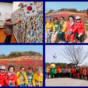 2018년 청춘삼박자 문화기행 다녀왔습니다! 이미지