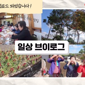 [티키타카3] 새로운 영상 업로드-어르신 일상 브이로그편 이미지